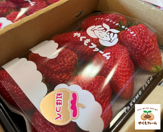 やくもファーム