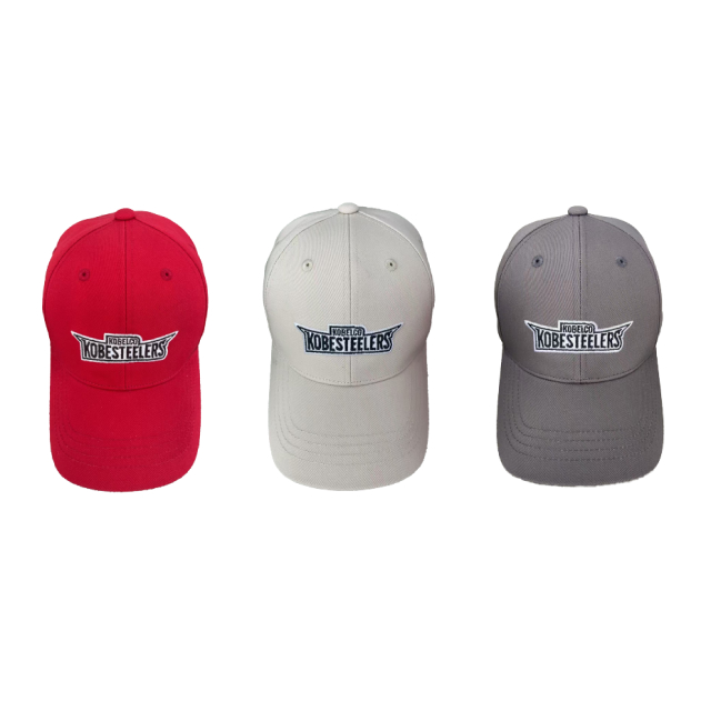 2025-26 ベースボールキャップ (全3色)