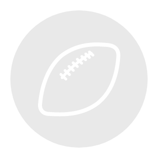 三洋電機ワイルドナイツ